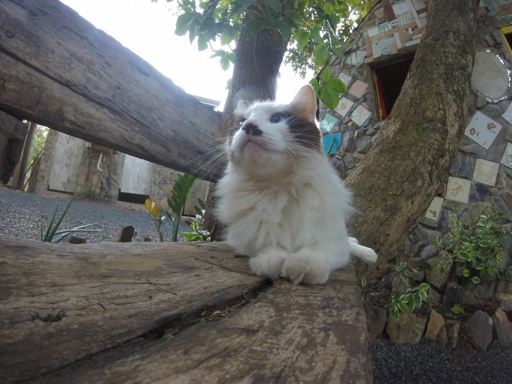 Camping Nomadas Bonito  Zewnętrze zdjęcie